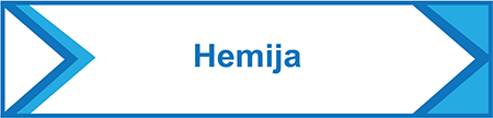 HEMIJA